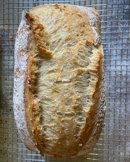 Semolina Lemon